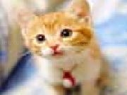 Jouer à Cute cat puzzles