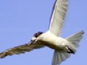 Jouer à Dream puzzle-5