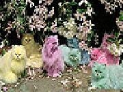 Jouer à Colorful cats slide puzzle
