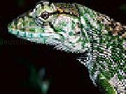 Jouer à Wild iguana slide puzzle