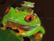 Jouer à Cute green frogs slide puzzle