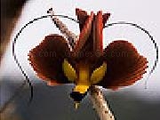 Jouer à Weird red bird slide puzzle
