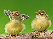 Jouer à Two cute sparrow puzzle