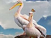 Jouer à Pelicans on the mountain slide puzzle