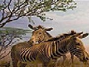 Jouer à Zebras in the desert slide puzzle