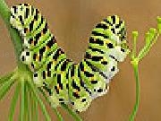 Jouer à Cute colored caterpillar slide puzzle