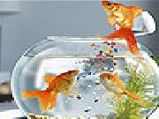 Jouer à Nice hungry fishes slide puzzle