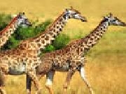 Jouer à Giraffes