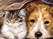 Jouer à Cat and dog