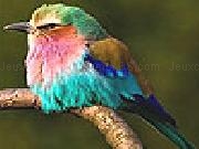 Jouer à Colored sparrow slide puzzle