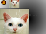 Jouer à Cat jigsaw puzzle game