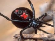 Jouer à Black widow jigsaw