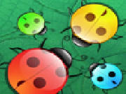 Jouer à Beetles