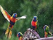 Jouer à Flying birds slide puzzle