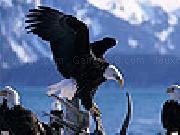 Jouer à Old eagles slide puzzle