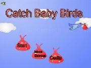 Jouer à Catching baby birdz