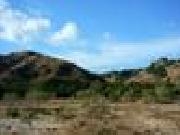 Jouer à Wondeful madagascar