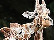 Jouer à Cute giraffes slide puzzle