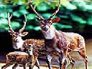 Jouer à Deers family slide puzzle