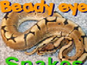 Jouer à Beady eye - snakes