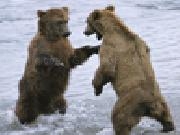 Jouer à Bear attack tower defense