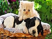 Jouer à Cat and dog slide puzzle