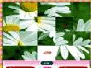 Jouer à Flower photo puzzle
