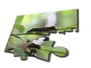 Jouer à Dream puzzle1