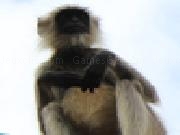 Jouer à Dream puzzle