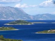 Jouer à Jigsaw: capybara