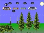 Jouer à Global environmental issues