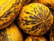 Jouer à Jigsaw: yellow melons