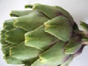 Jouer à Jigsaw: artichoke