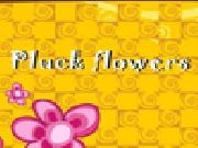Jouer à Pluckflowers