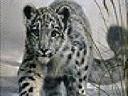 Jouer à Snow leopard slide puzzle