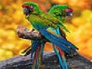 Jouer à Two parrots slide puzzle