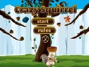 Jouer à Crazy squirrel