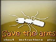 Jouer à Save the ants
