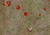 Jouer à Crazy archers