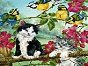 Jouer à Crazy cats and birds slide puzzle