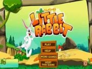 Jouer à Little rabbit