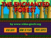 Jouer à The enchanted forest