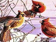Jouer à Chatter birds puzzle