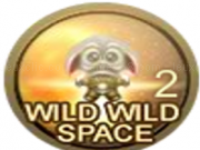 Jouer à Wild wild space 2