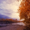 Jouer à Jigsaw: autumn sunset