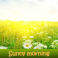 Jouer à Sunny morning