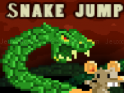 Jouer à The snake jump