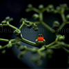 Jouer à Twigs and bud jigsaw puzzle