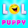 Jouer à Funny cute puppies