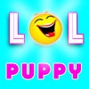 Jouer à Funny cute puppies